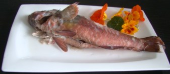 VIEJAS GUISADAS CON CEBOLLA Y UNA CABEZA DE AJOS