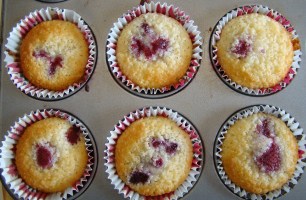 MAGDALENA DE FRANBUESA Y COCO 1