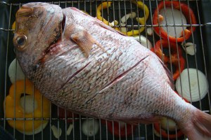 SAMA ROQUERA AL HORNO