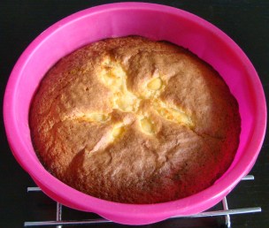 BIZCOCHO DE DELICIAS DE PARCHITA