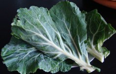 COL ABIERTA O COL EN HOJA.jpg