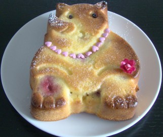 BIZCOCHO CON FRAMBUEZA.jpg