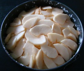 BIZCOCHO DE MANZANA 2