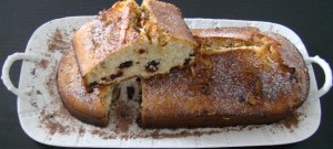 BIZCOCHO CON ARANDANOS 1