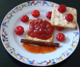 MERMELADA DE PITANGA 1